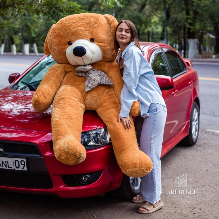 Медведь коричневый двухметровый