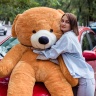 Медведь коричневый двухметровый