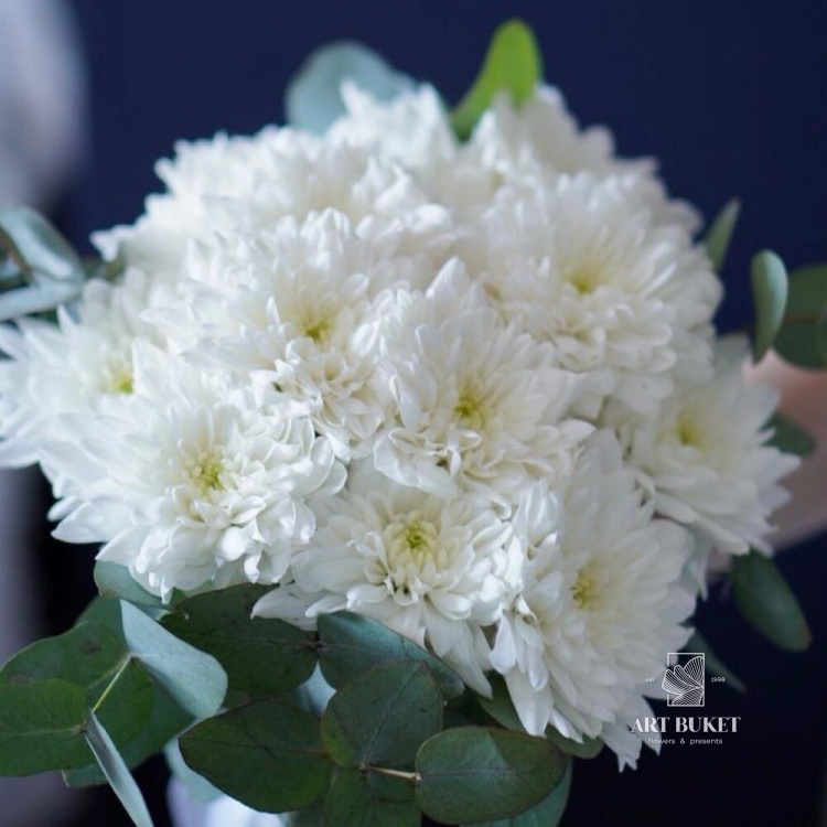 Свадебный букет из белой хризантемы