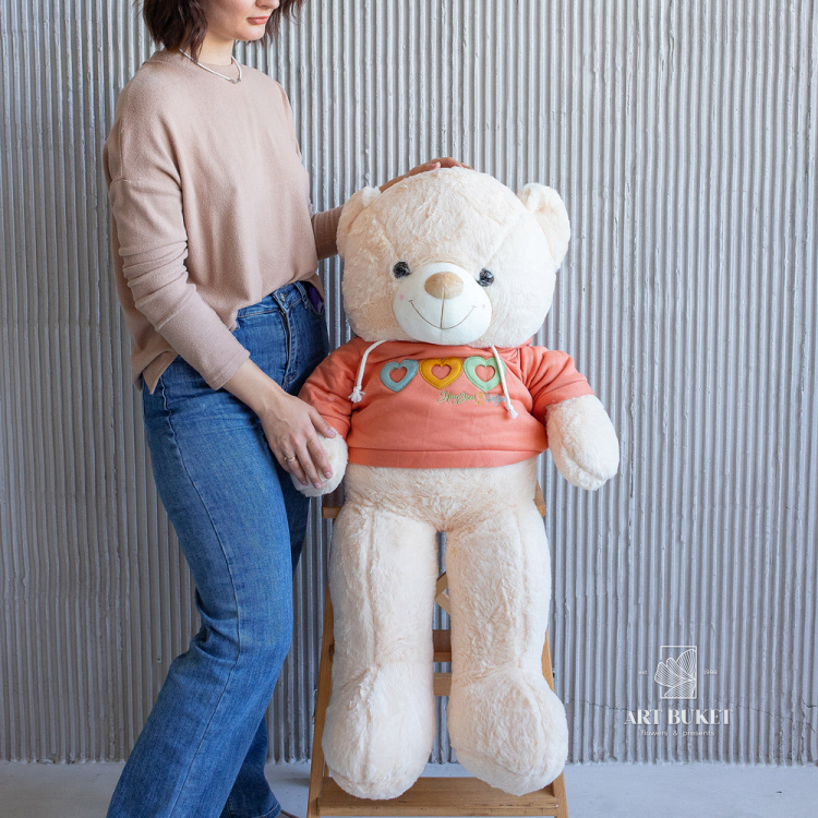 Медведь в худи 90 см