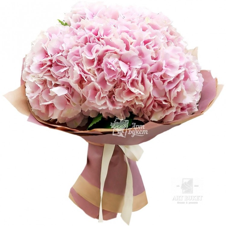 Букет розовых гортензий