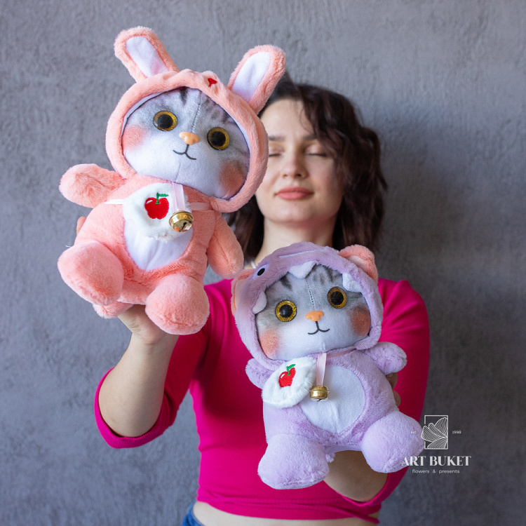 Кот в кегуруми микс