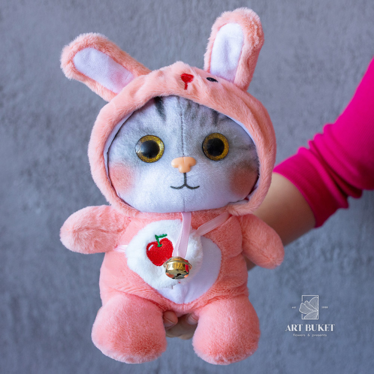 Кот в кегуруми микс