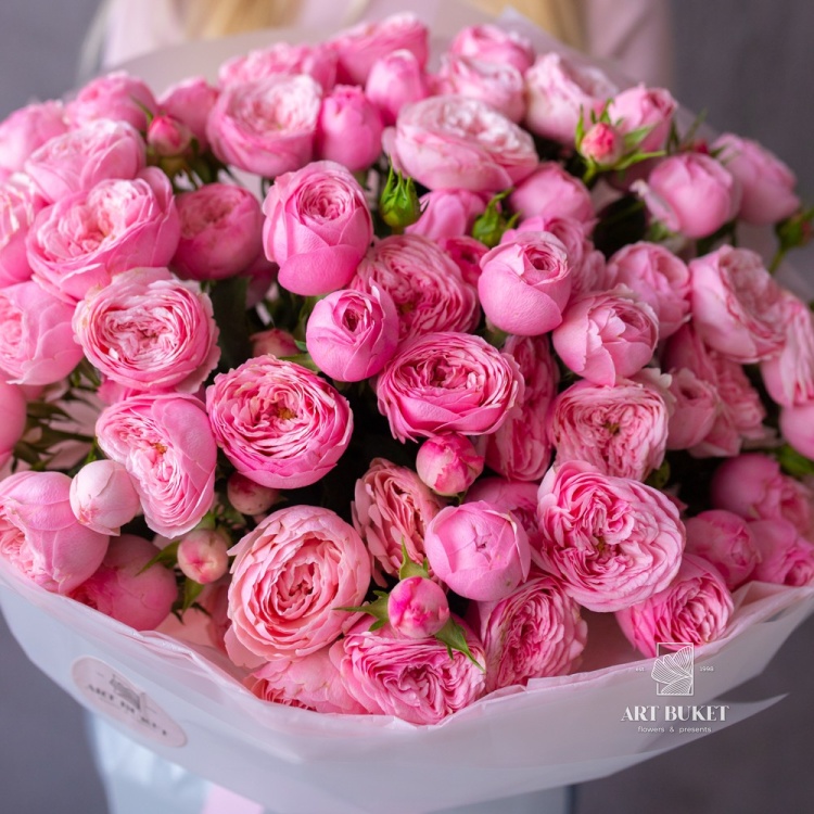 15 кустовых пионовидных роз "Мэнсфилд парк"