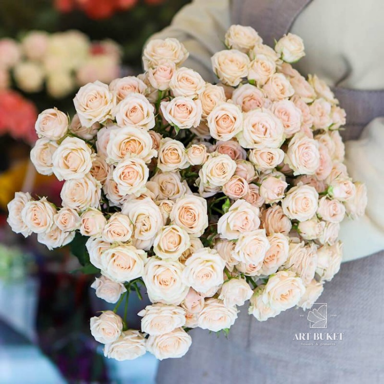 Розы кустовые