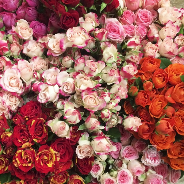 Розы кустовые