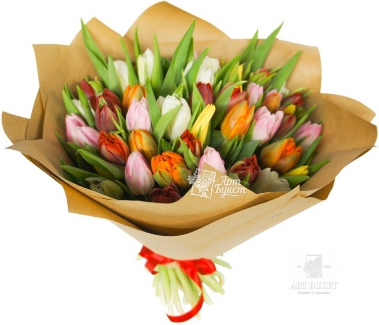 51 тюльпан микс