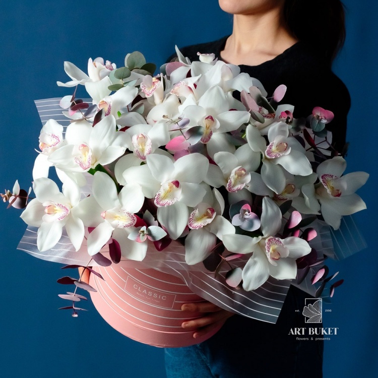 Белый прованс