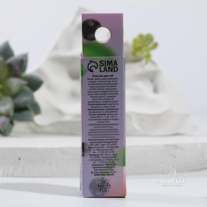 Бальзам для губ в картонном стике «Смородиновый сорбет», смородина 4 г