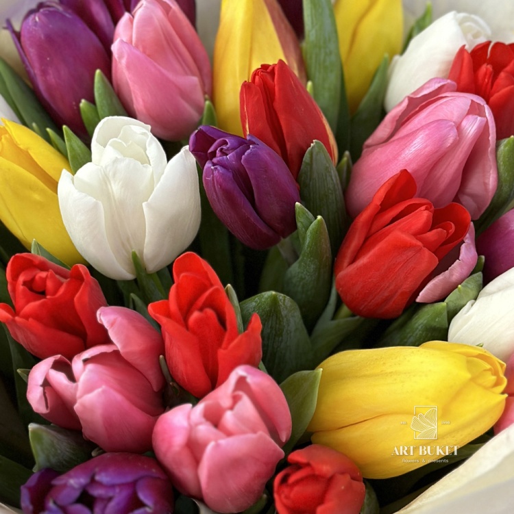 31 тюльпан микс