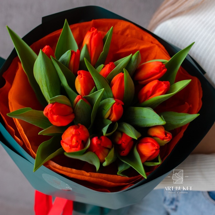 15 красных тюльпанов