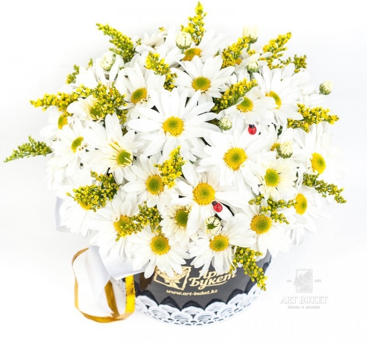 Шляпная коробка #103