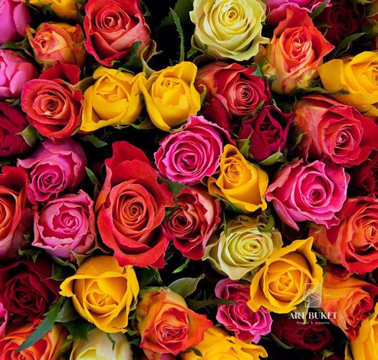 Розы Кенийские