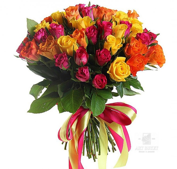 51 кенийская роза