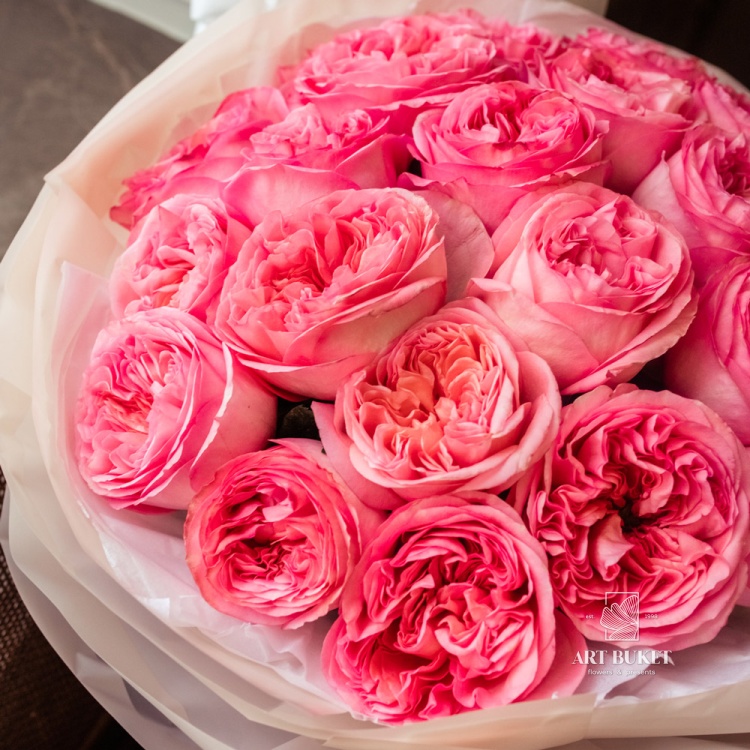 25 пионовидных роз "Pink expression"