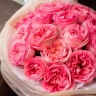 25 пионовидных роз "Pink expression"