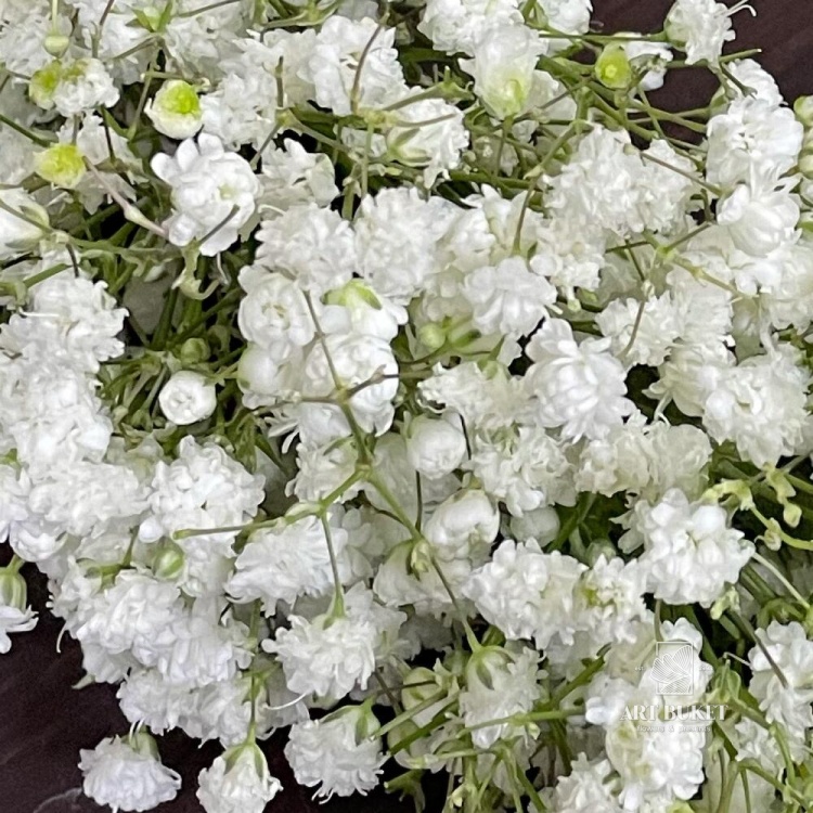 Свадебный венок из гипсофилы