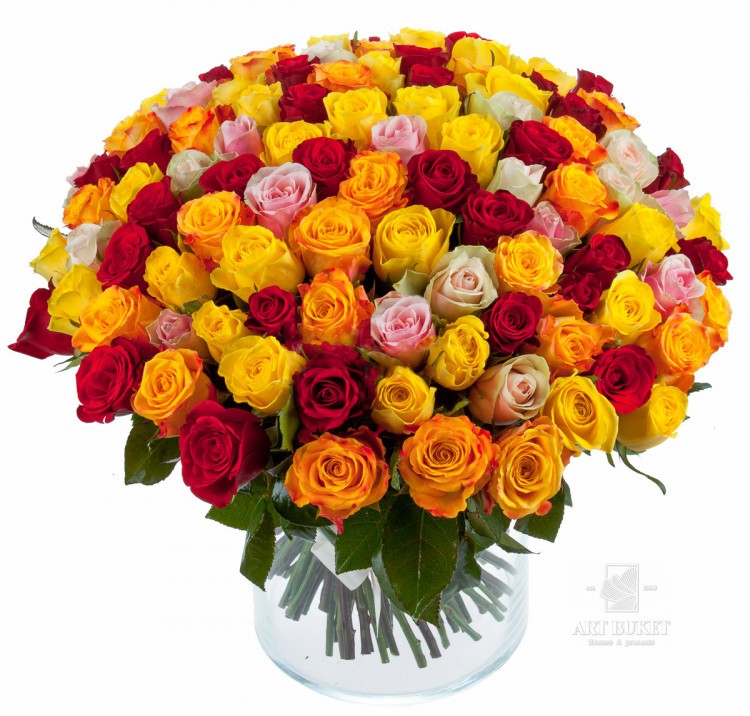 101 кенийская роза