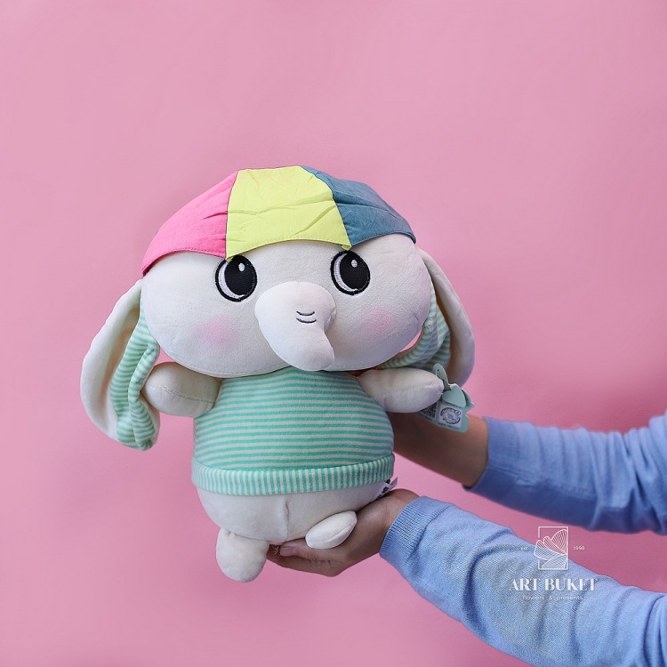 Слон в одежде