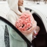 25 розовых диантусов