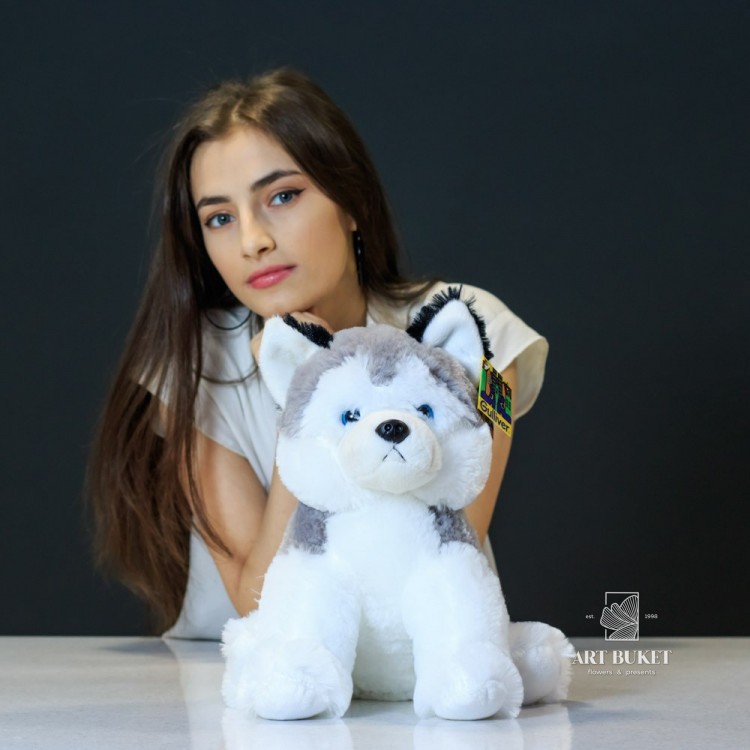 Хаски серый средний