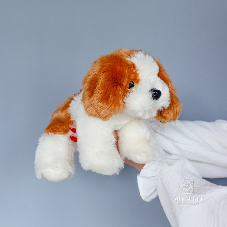 Собака глазастая музыкальная большая