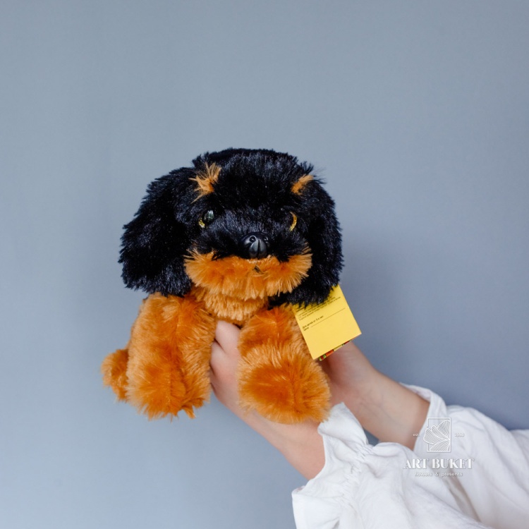 Собака глазастая музыкальная большая