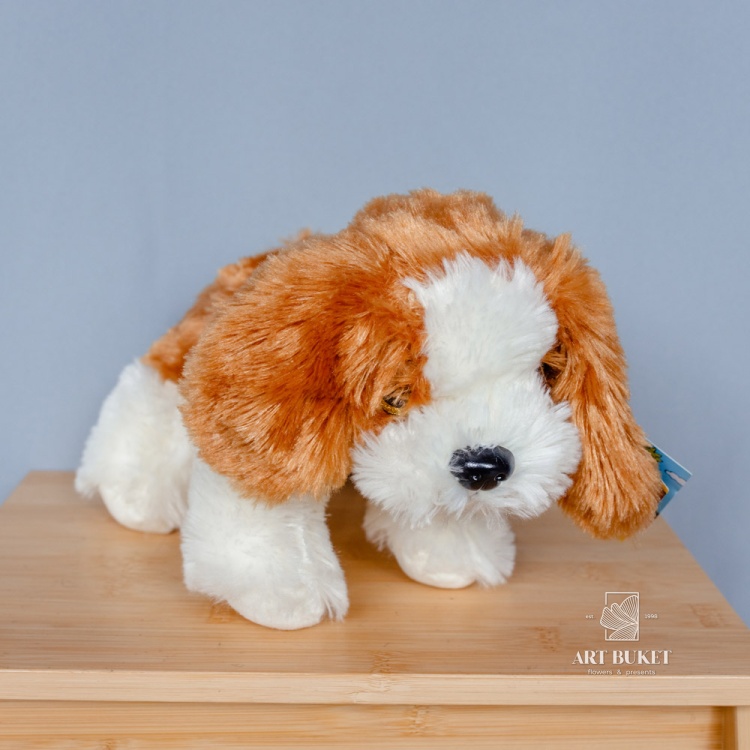 Собака глазастая музыкальная большая