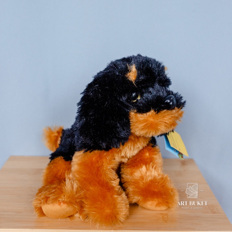 Собака глазастая музыкальная большая