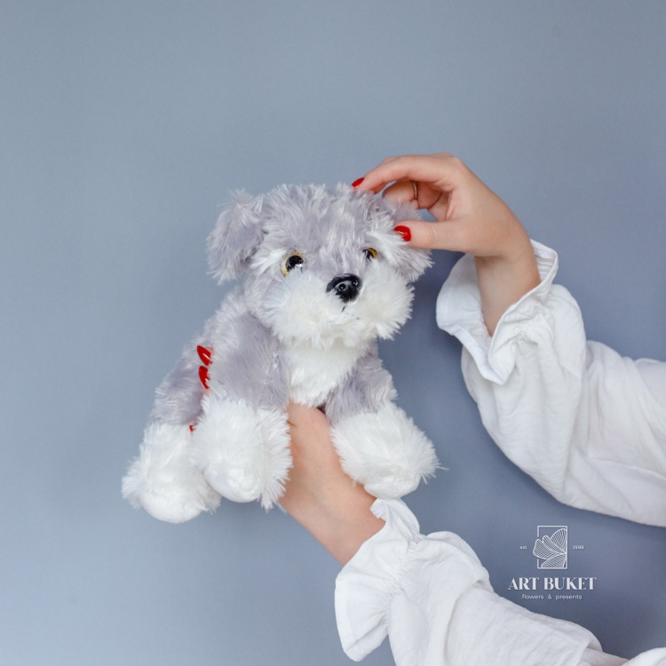 Собака глазастая музыкальная большая