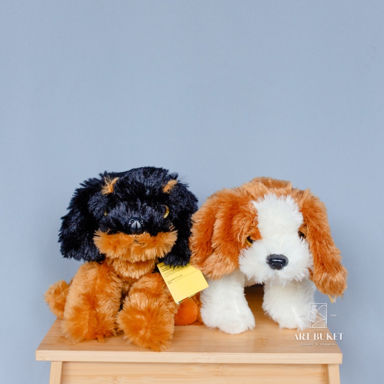 Собака глазастая музыкальная большая