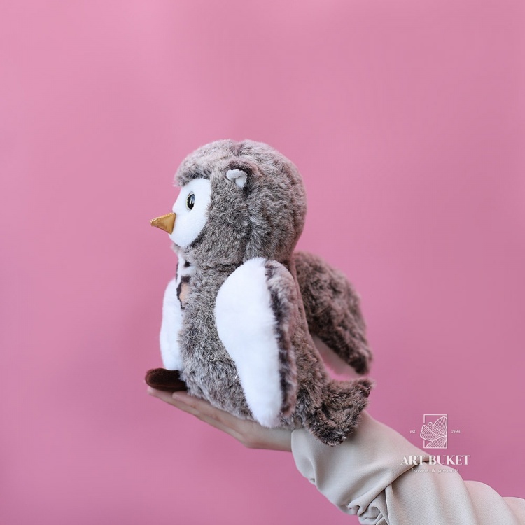 Сова маленькая коричневая