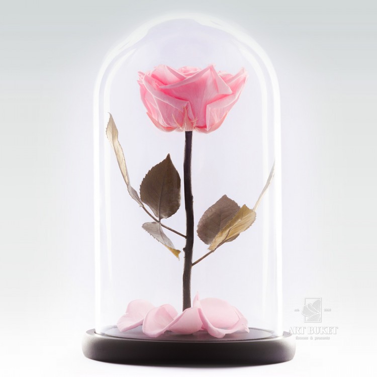 Роза в колбе