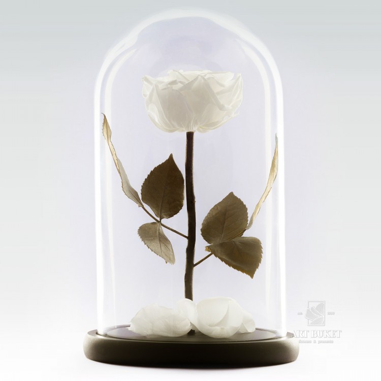 Роза в колбе