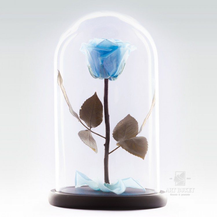 Роза в колбе