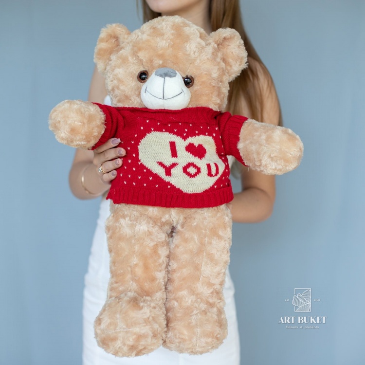 Медведь в вязаной кофте