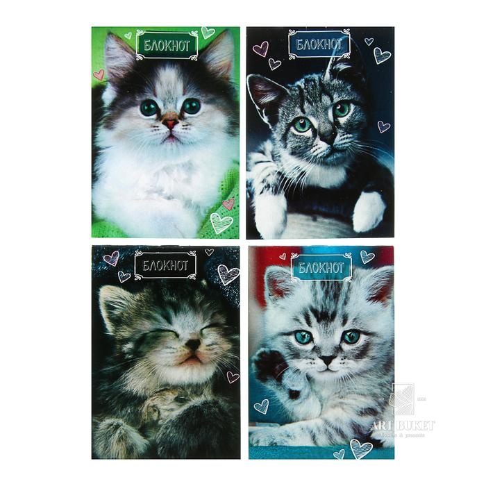 Блокнот А6, 24 листа в клетку на скрепке "Котята", обложка мелованная бумага, МИКС