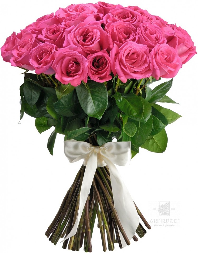 25 розовых голландских роз