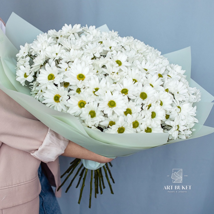 25 белых ромашковых хризантем