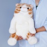 Кот сутулый