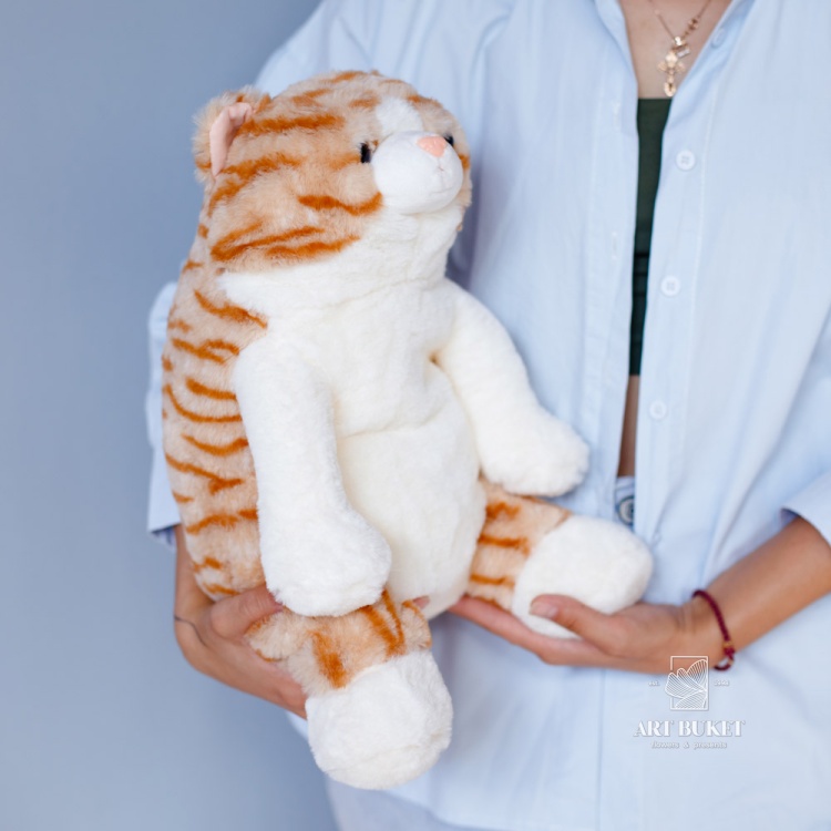 Кот сутулый