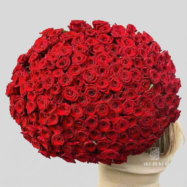 201 красная роза