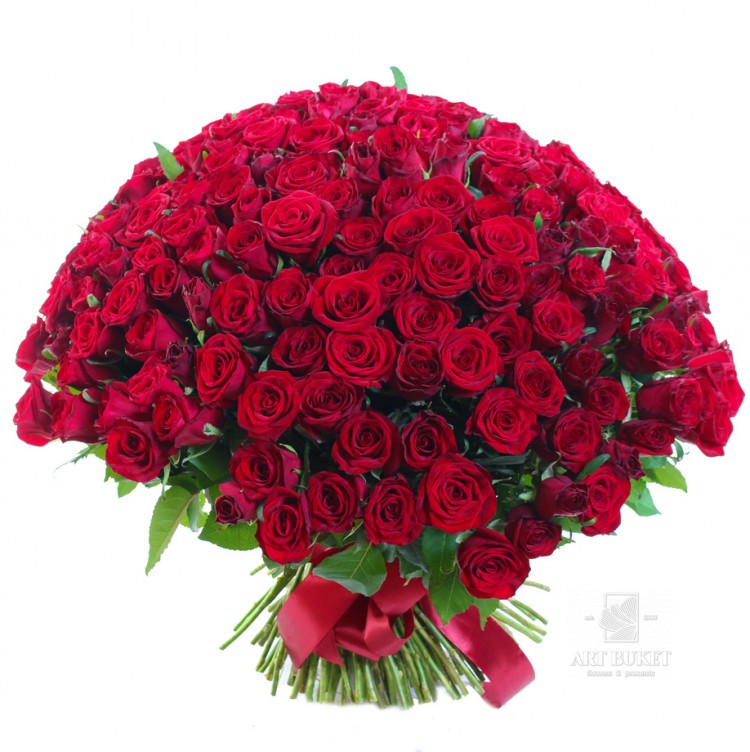201 красная роза