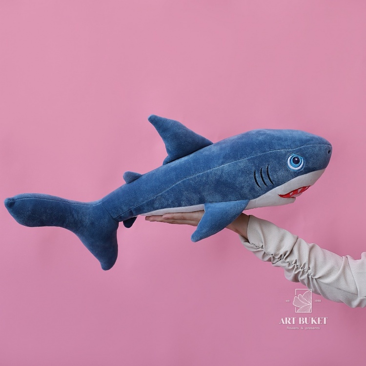 Акула средняя