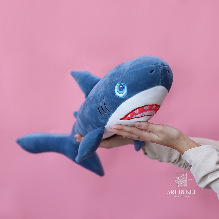 Акула средняя