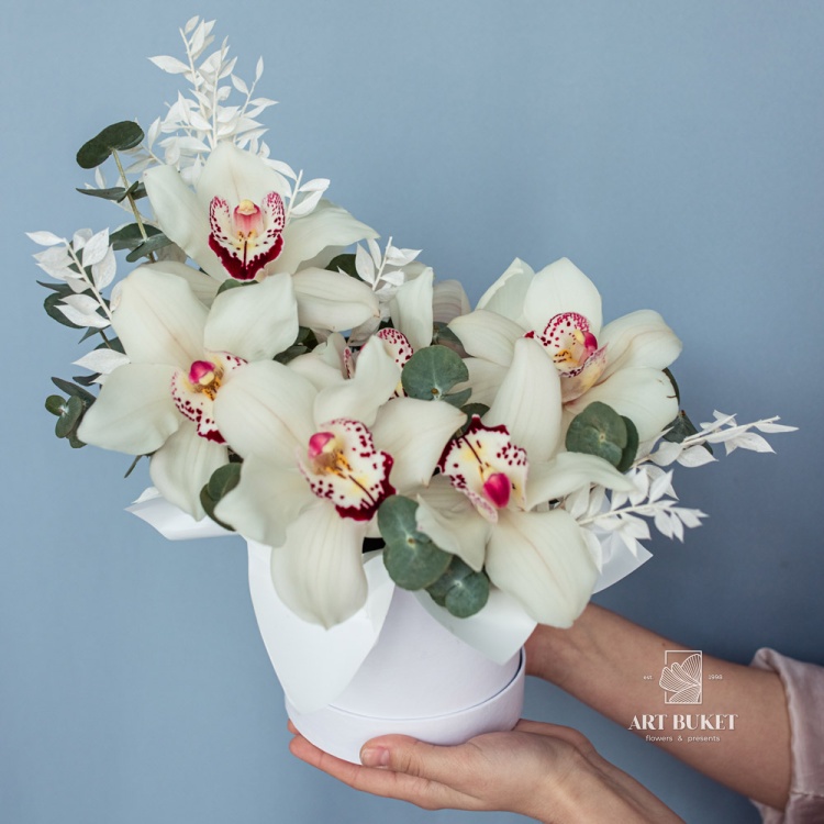 Композиция #43