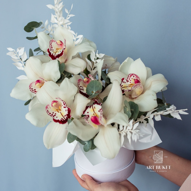 Композиция #43