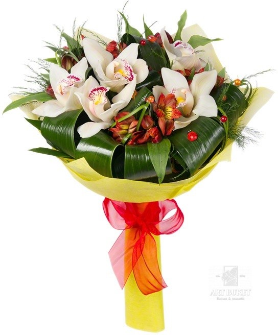 Орхидеи в красном