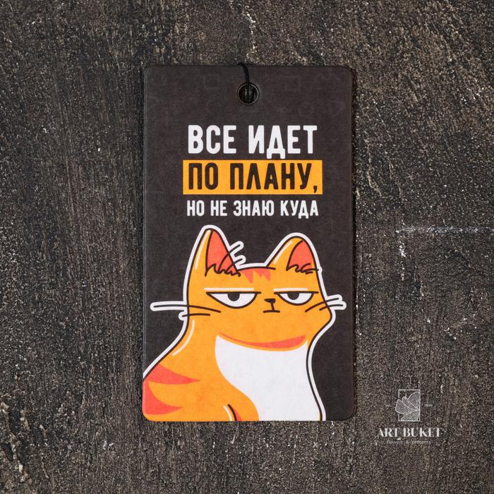 Ароматизатор в авто «Всё идёт по плану», тропики