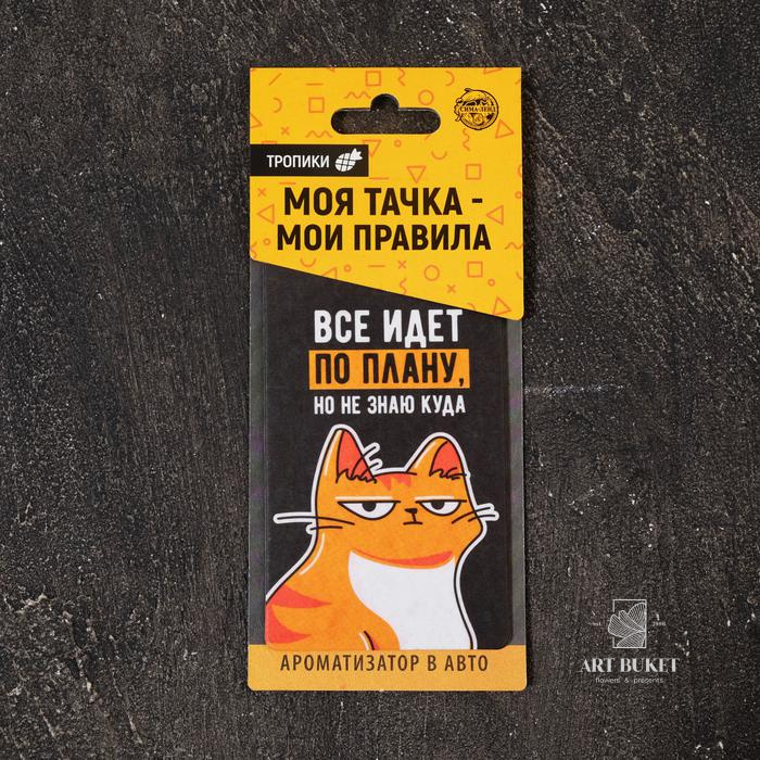 Ароматизатор в авто «Всё идёт по плану», тропики